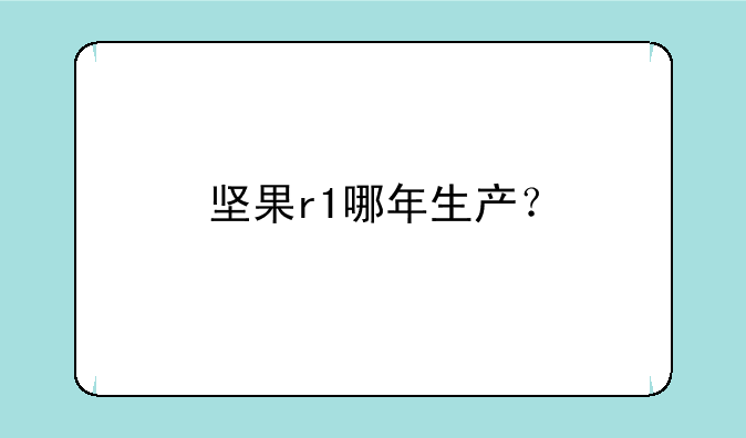 坚果r1哪年生产？