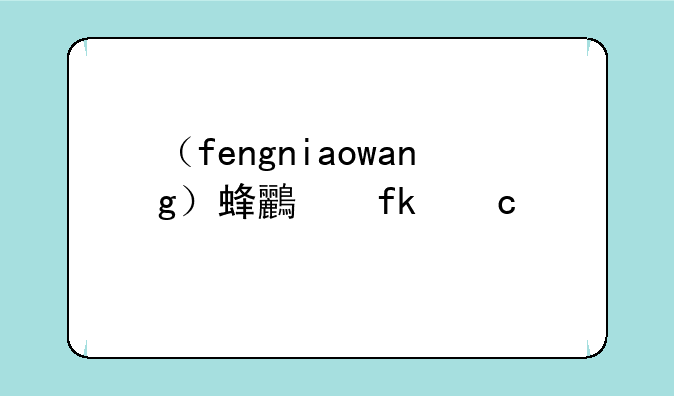 （fengniaowang）蜂鸟晚高峰几点