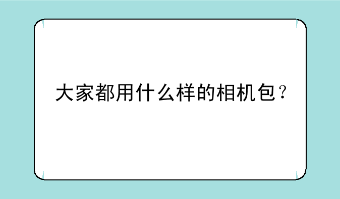 大家都用什么样的相机包？