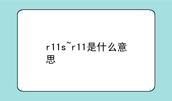 r11s~r11是什么意思