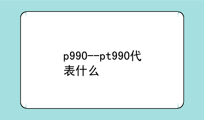 p990--pt990代表什么