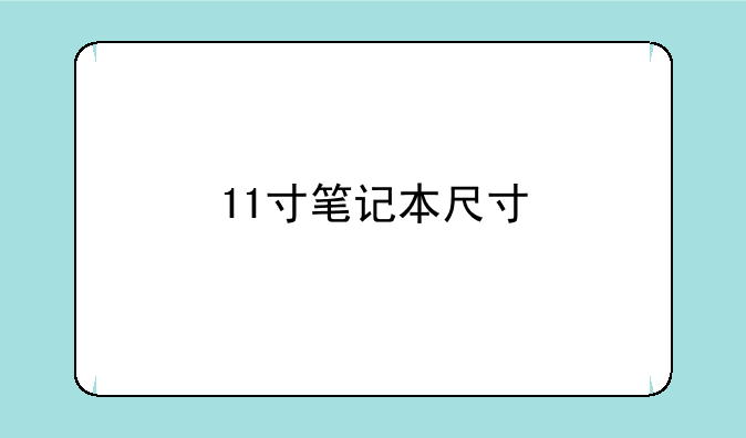 11寸笔记本尺寸