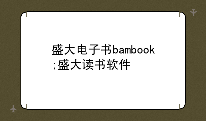 盛大电子书bambook;盛大读书软件