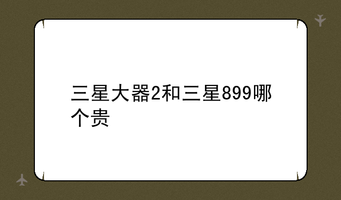 三星大器2和三星899哪个贵
