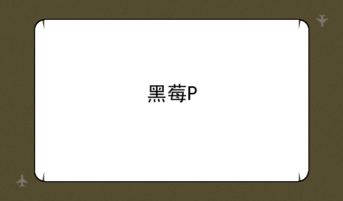 黑莓P'9981的手机介绍