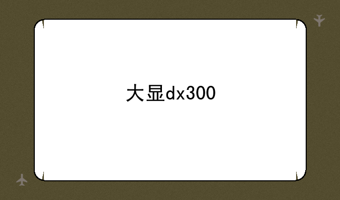 大显dx300