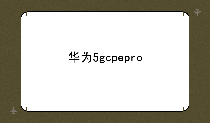 华为5gcpepro