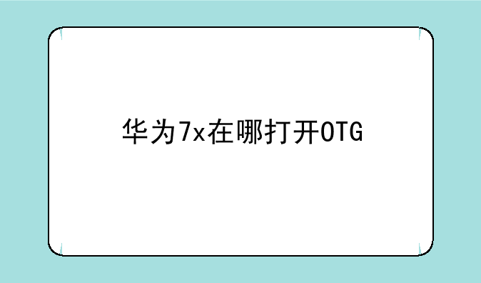 华为7x在哪打开OTG