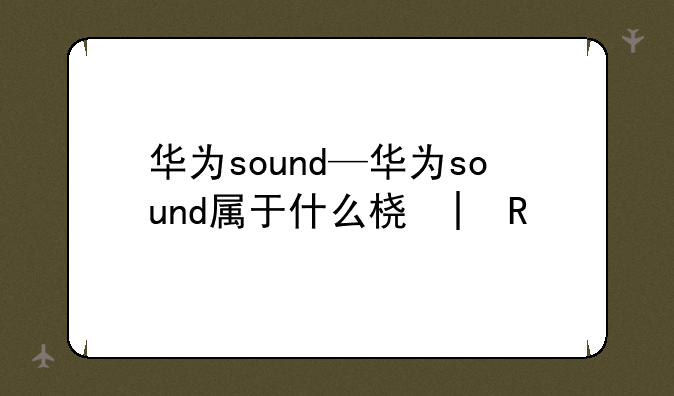 华为sound—华为sound属于什么档次